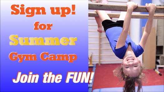 Fit Kids Summer Gymnastics Camps